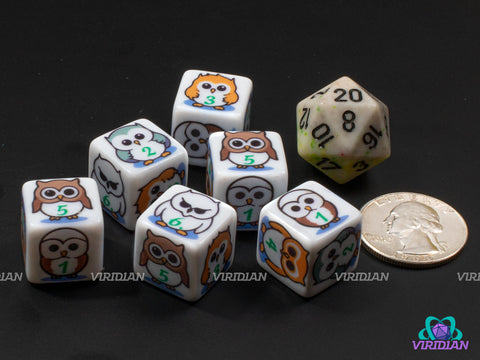 Owl D6s (Set of 6) | White with Cute Owl Designs | Acrylic D6 Dice Set (6)