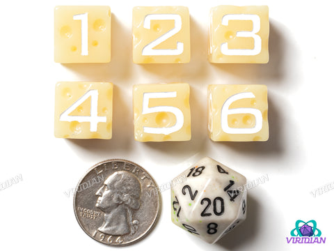 Swiss Cheese D6s (Set of 6) | Cream w 