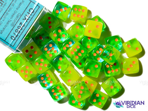 Gemini Plasma Green & Orange (36) 12mm D6 Block Set | Translucent Neon Green, Orange Ink | Chessex