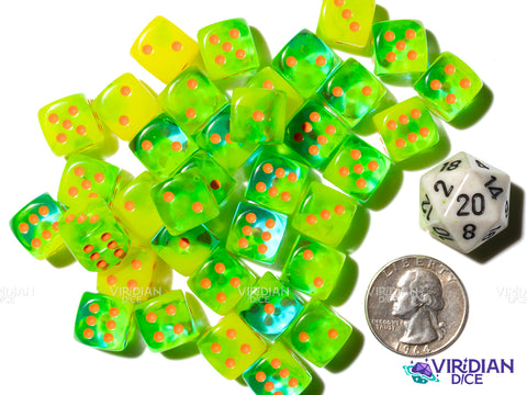 Gemini Plasma Green & Orange (36) 12mm D6 Block Set | Translucent Neon Green, Orange Ink | Chessex