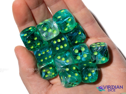 Borealis Kelp Luminary (12) D6 Block Set | Translucent Dark Green-Teal, Clear Swirls, Green Ink | Acrylic D6 Set (12) | Chessex