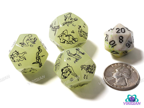 Adult Martial Arts Die (D12)