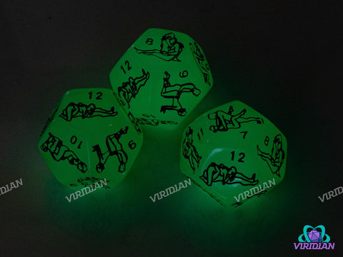 Adult Martial Arts Die (D12)