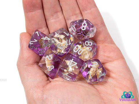 Orchid Shores | Sea Shell, Translucent-Purple, Clear, Real Conch | Resin Dice Set (7)