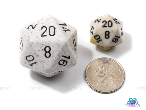 Speckled Arctic Camo | 34mm Large Acrylic D20 Die (1) | Chessex